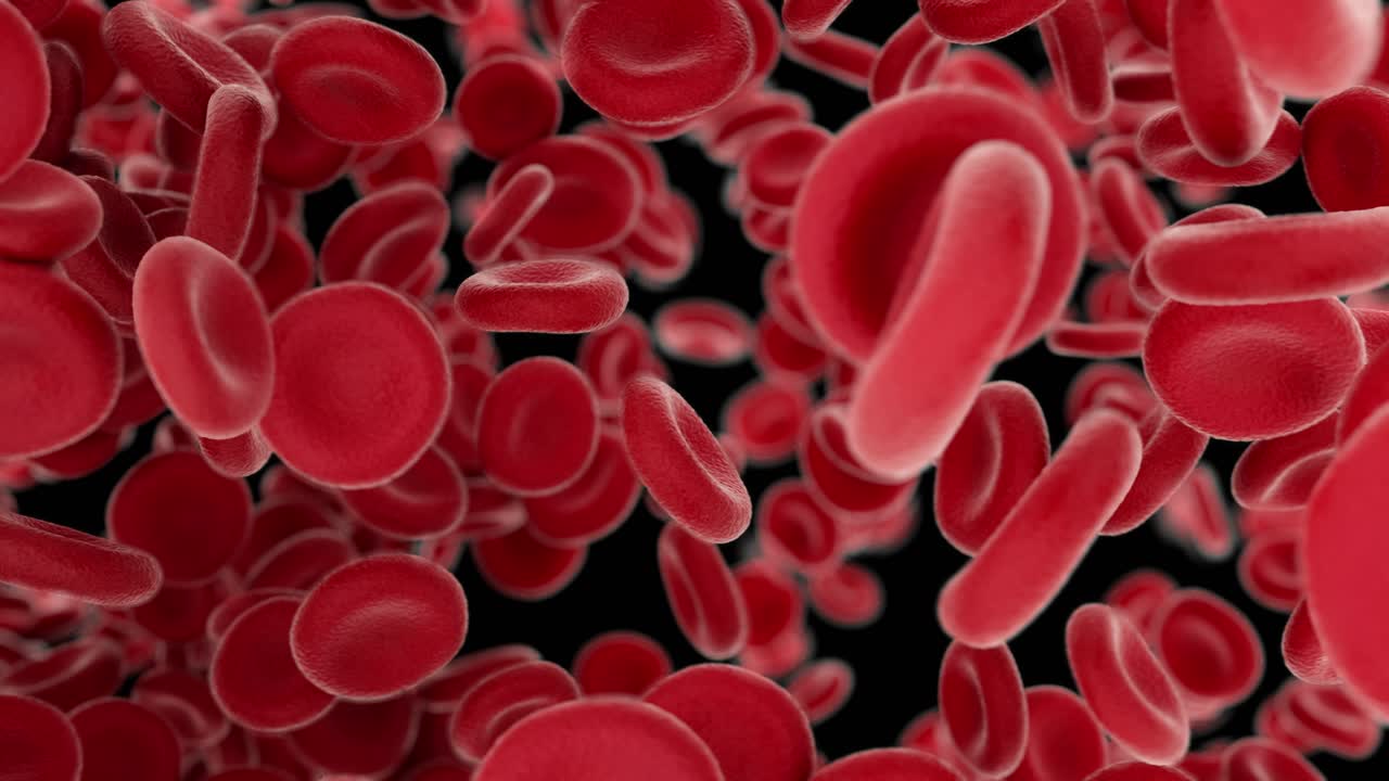 células sanguíneas volando a través de las arterias en fondo negro