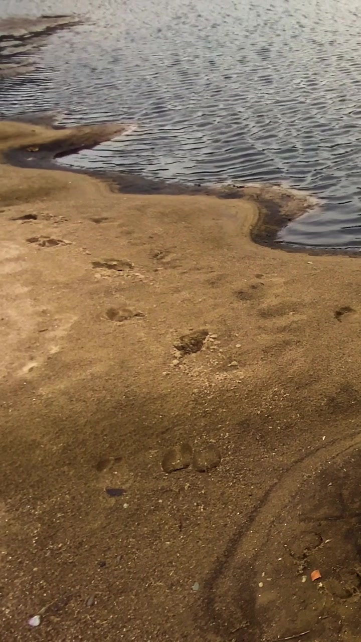 Rifiuti chimici industriali inquinano l'acqua di un lago sabbioso - ripresa panoramica verticale