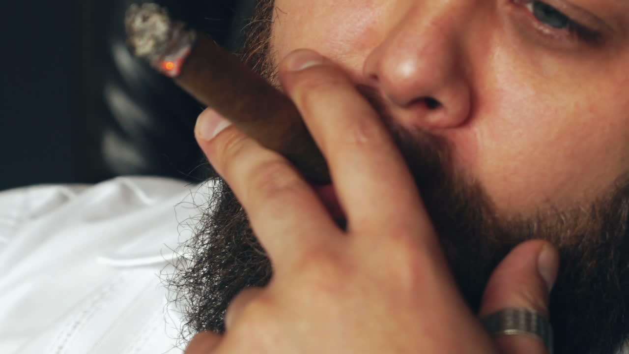 Man holding a cigar. Young bearded man posing and smoking a cigar in studio