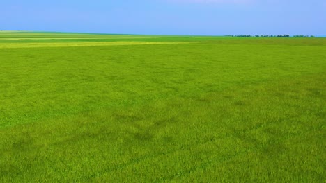 Aerial-of-wind-blowing-over-green-farm-fields-of-Normandy-France