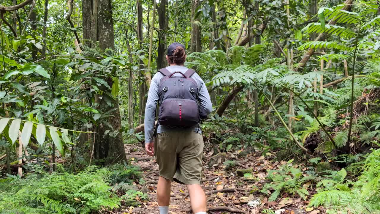 Man Hiking Through Lush Jungle Trail