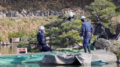 workers caring for a large bonsai in a garden