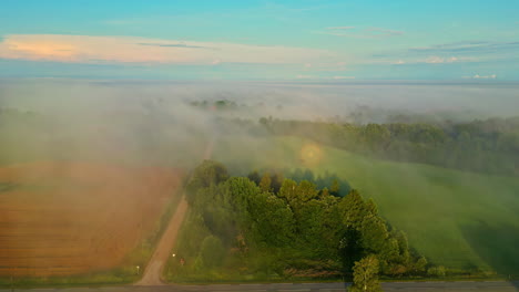 Drone-aerial-landscape-view-of-hazy-fog-mist-clouds-over-crops-field-farmland-bush-forest-agriculture-of-rural-town-countryside-neighbourhood-environment-meadow