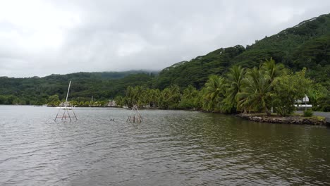 beautiful island of raiatea, society islands, french polynesia.