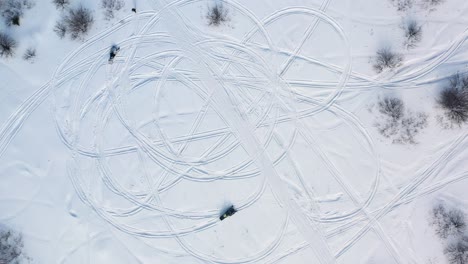 snowmobile trails in a snowy forest