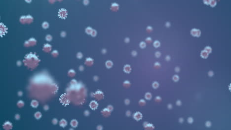animation of macro covid-19 cells floating on navy blue background