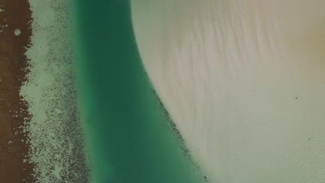 vista superior de la bahía de los tiburones, parque nacional de la costa oeste en sudáfrica - toma de avión no tripulado