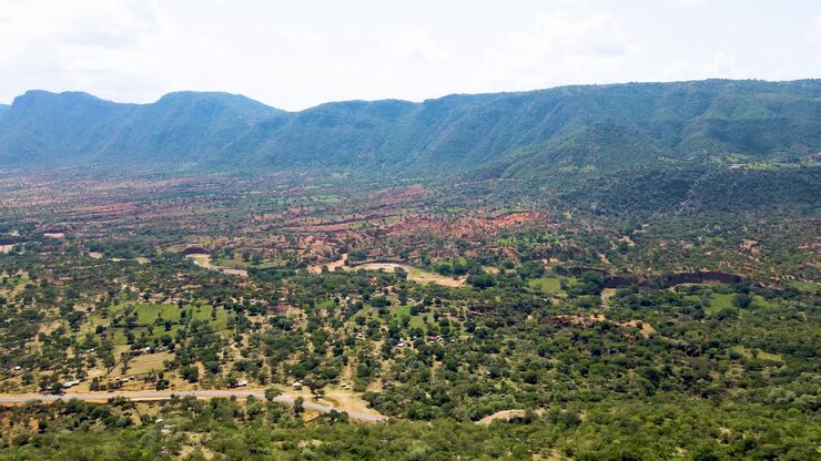 Vista aerea con drone dell'Africa.