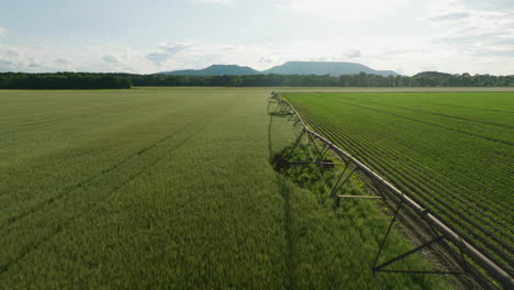 fotografía aérea de un sistema de riego regando los cultivos, día soleado en dardanelles, ar, estados unidos, paisaje agrícola