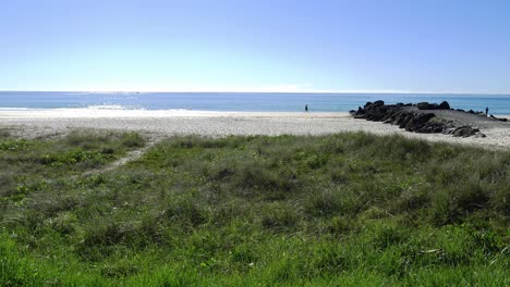 gold coast beach during summer - ocean and blue sky - palm beach -queensland, australia