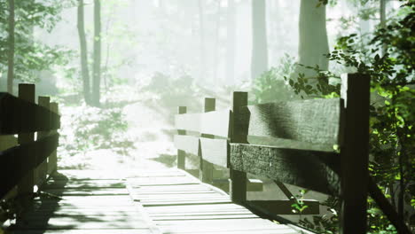 sunlight filters through trees on a wooden bridge in a misty forest