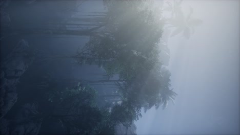 sunset beams through palm trees