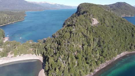 arrayanes boscosos escarpados en villa la angostura, argentina