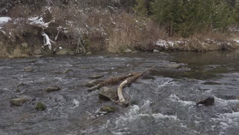 Natürliches-Fließendes-Wasser-Bach-Ast-Felsen-Kredit-Flussbett-Caledon-Lake-Ontario-Kanada-Naturschutz-Umwelt-Landschaft-Landschaft-Nordamerika
