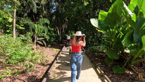 person walking down a verdant garden pathway