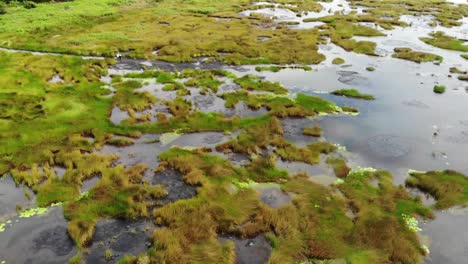 pitch - bitumen lake on the island of trinidad and tobago shot with the mavic air