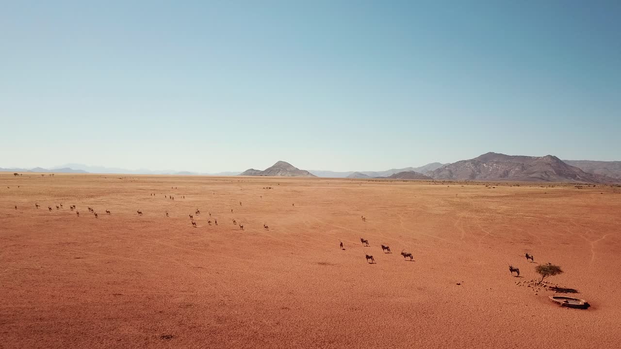 namibia desierto de kalahari en áfrica