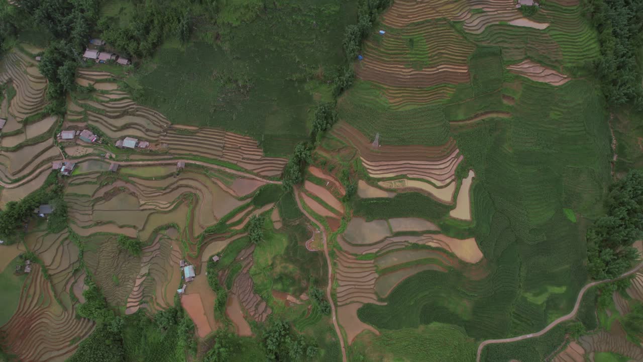 vista aérea de campos de arroz en terrazas en sapa, vietnam, que muestran vegetación exuberante y patrones intrincados