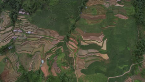 Vista-Aérea-De-Campos-De-Arroz-En-Terrazas-En-Sapa,-Vietnam,-Que-Muestran-Una-Exuberante-Vegetación-Y-Patrones-Intrincados.