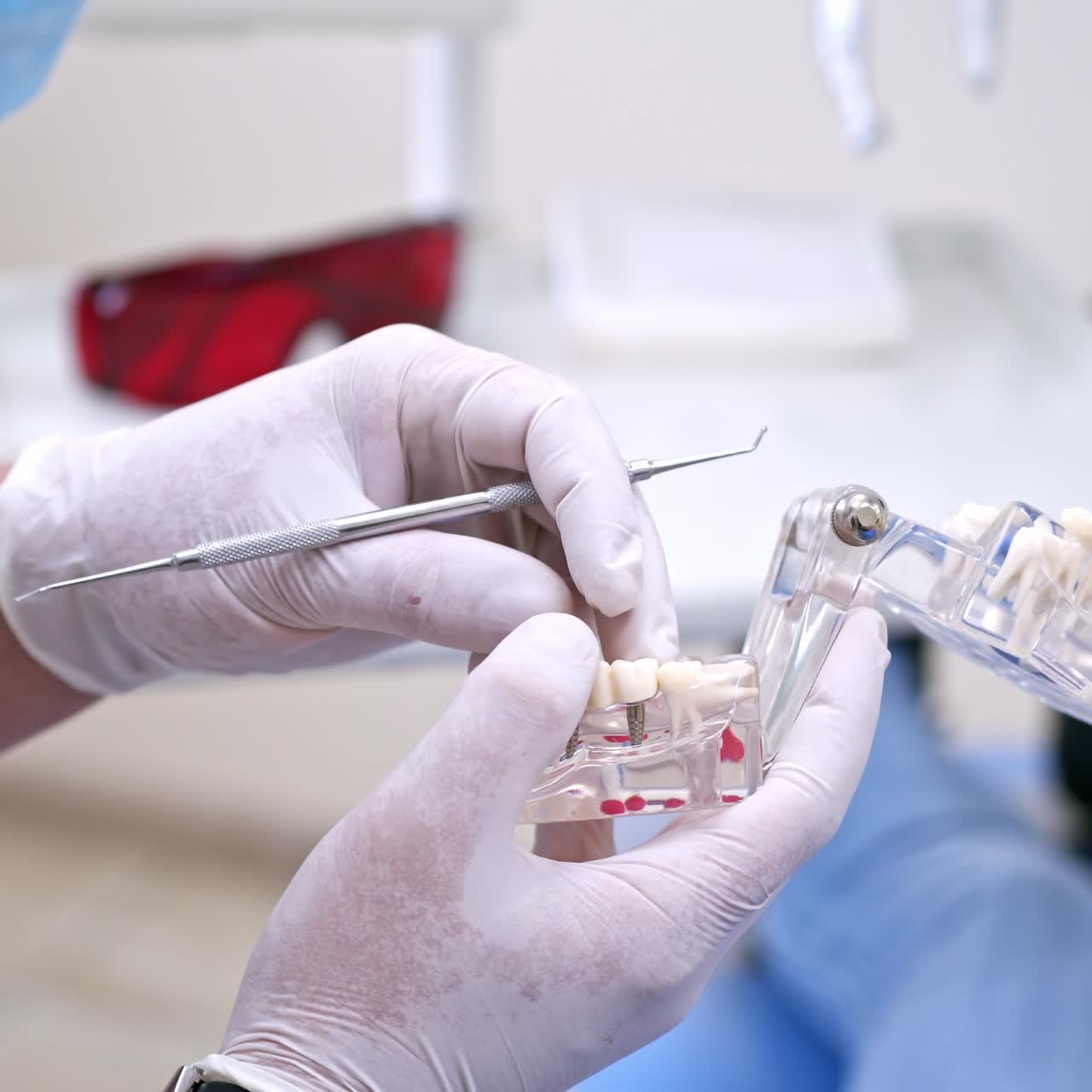 Doctor holding teeth model