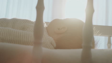 baby sleeping in crib
