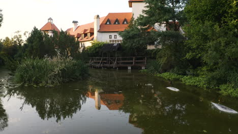 pond with reeds and waterlilies with a wooden pier below a chateau