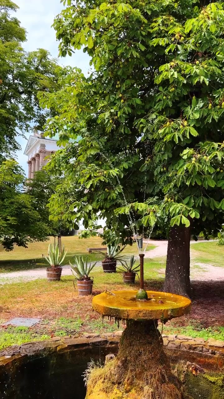 Fuente rodeada de plantas y árboles. Una fuente con agua fluyendo se encuentra en un jardín. Está rodeada de plantas verdes y árboles en un día soleado