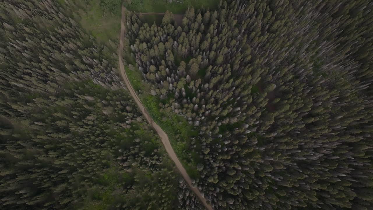 verano último dólar carretera aéreo drone monte sneffels desierto san juan montañas rocosas aeropuerto telluride cuatro ruedas motrices colorado uncompahgre bosque cielo azul paisaje pan abajo birdseye