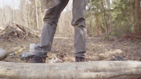 swedish woman turn wood log with plug spawn around, mushroom cultivation process