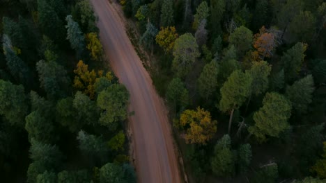 Camino-De-Tierra-Al-Amanecer-En-El-Bosque-De-Pinos.