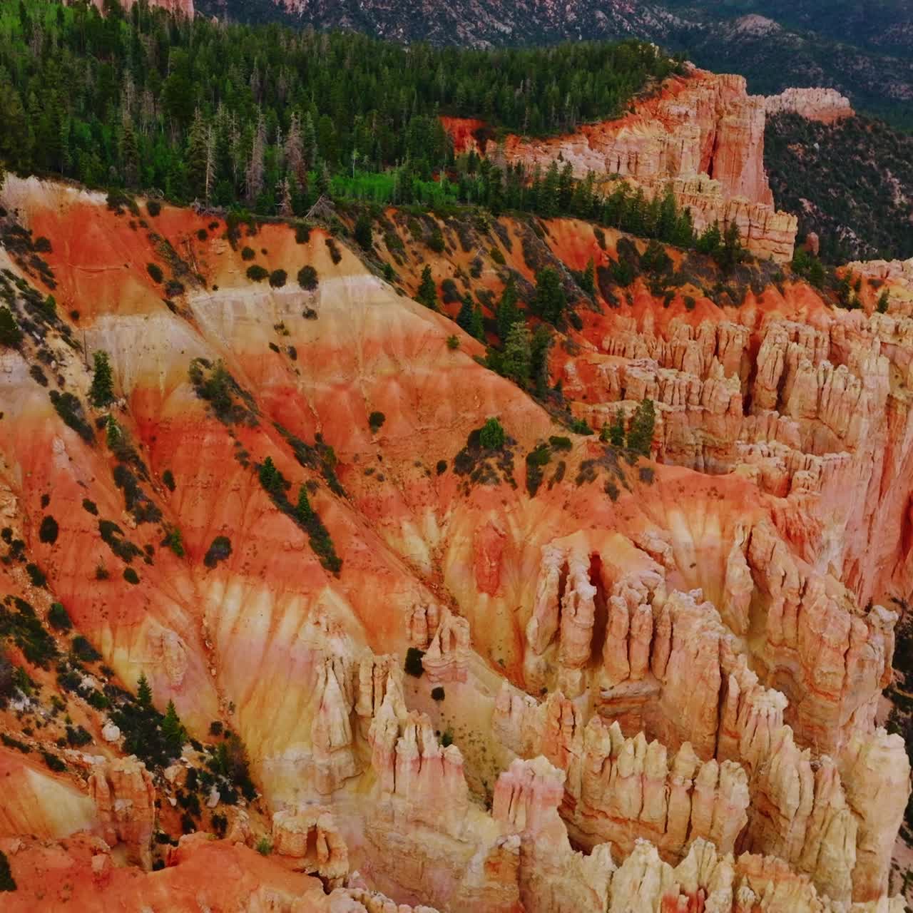Downhill slopes and rock columns of beautiful canyons at daytime. Green forest growing on top of mountains and at the foot. View from above