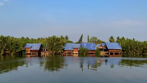 The-Buffalo-walk-in-Bangkok