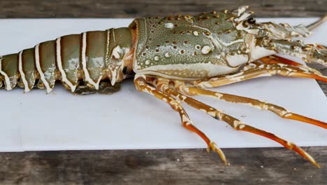 motion shot big spiny lobster standing on white cutting board, thailand delicacy