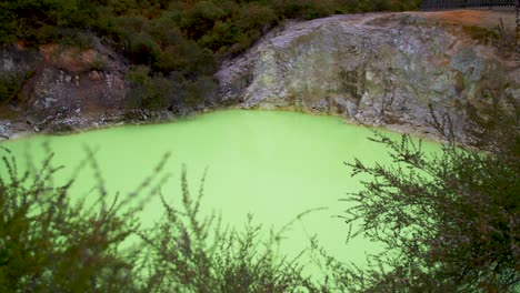 jasny neonowo-zielony basen gorących źródeł w rotorua nowa zelandia, geotermalna kraina cudów