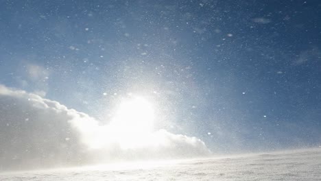 closeup of snow storm, snow blizzard and snow drift on the mountain slope during cold winter morning with the sun rays shining through. slow motion