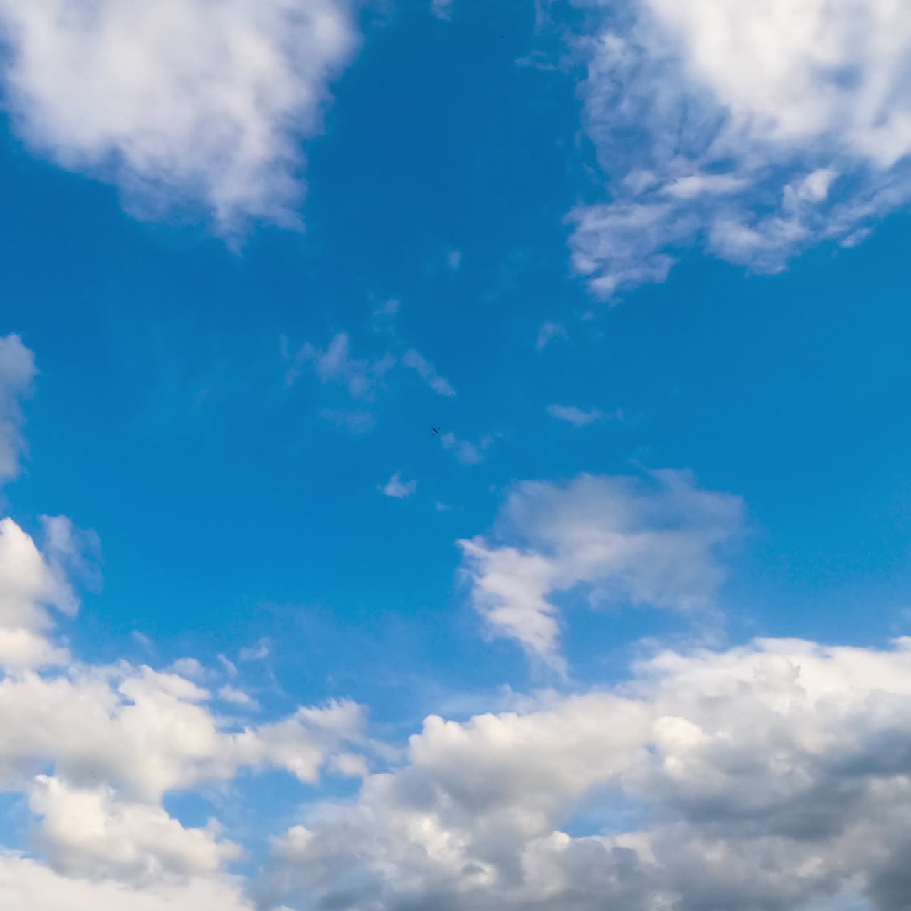 Amazing clear azure sky in summer. Cumulus clouds covering the horizon and sun. Low angle view. Timelapse