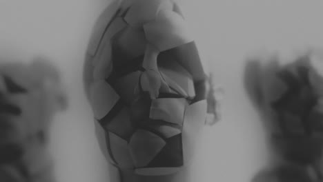 broken mannequin head shells in xray