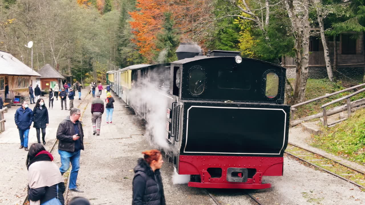 숲 속 의 증기 열차