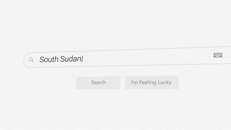 Searching for South Sudan on Internet browser