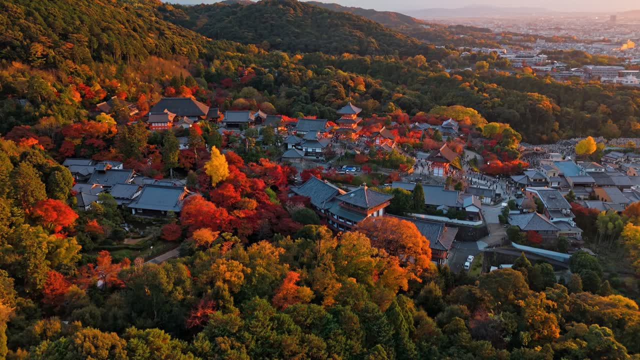 un impresionante clip de un dron que captura el templo de kiyomizu-dera durante la vibrante temporada de momiji (hollada) en kioto, japón.