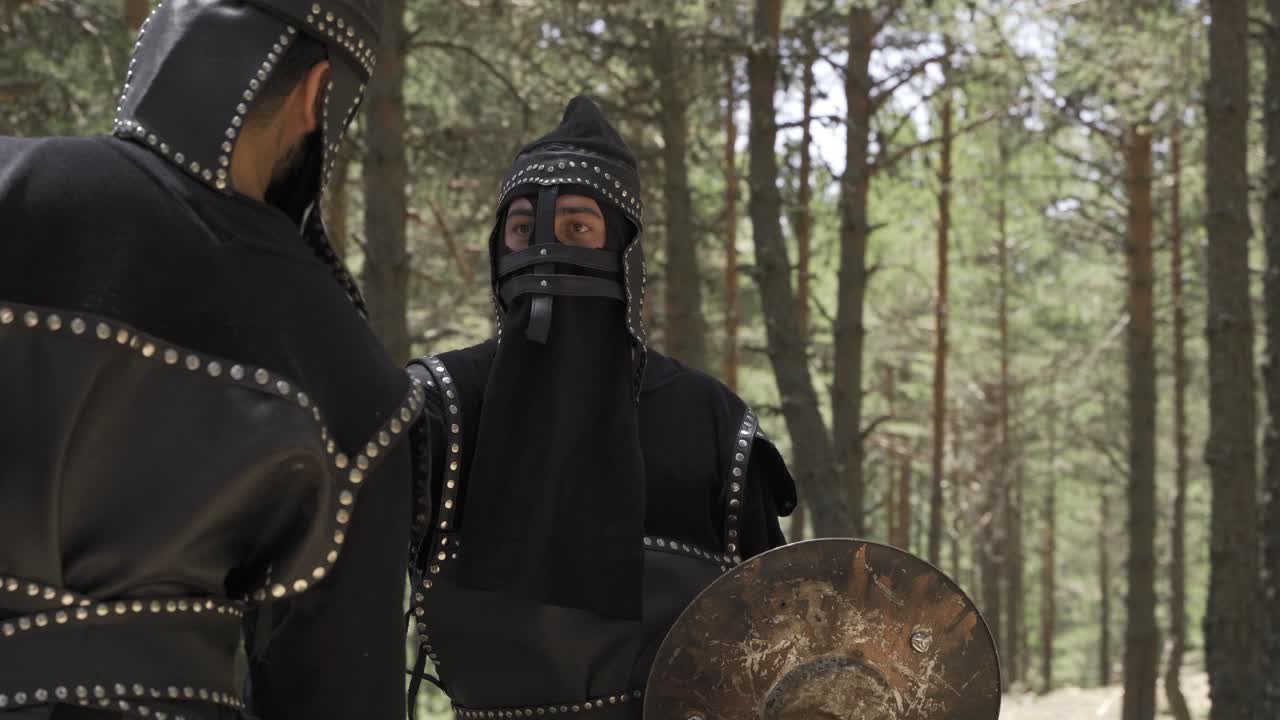 Miekka, kilpi, historiallinen taide