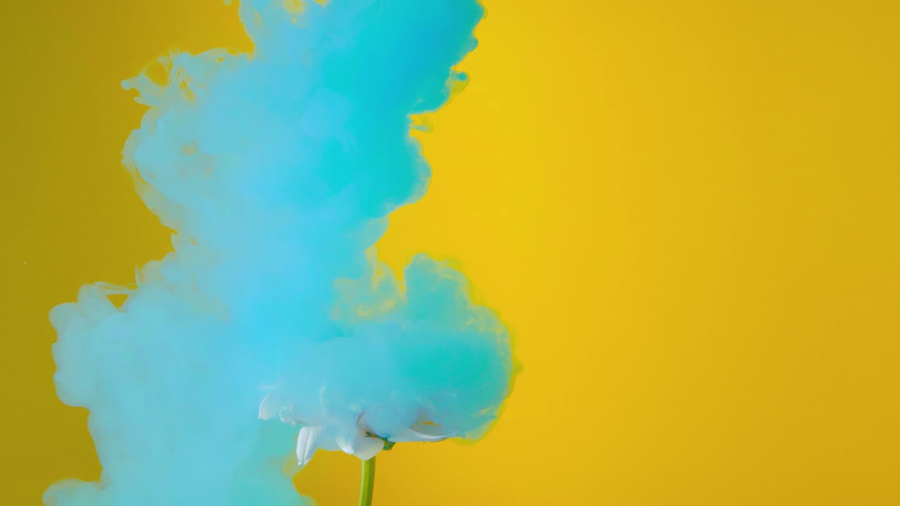 el concepto de arte abstracto de la naturaleza, el arte fluido es el flujo de la explosión de color azul en la flor con fondo de luz amarilla, fondo abstractamente colorido y fondo de textura de moda con espacio de copia.