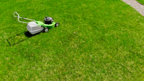 aerial drone view of green lawn-mower on circle of fresh lawn at yard. tools for cutting grass.