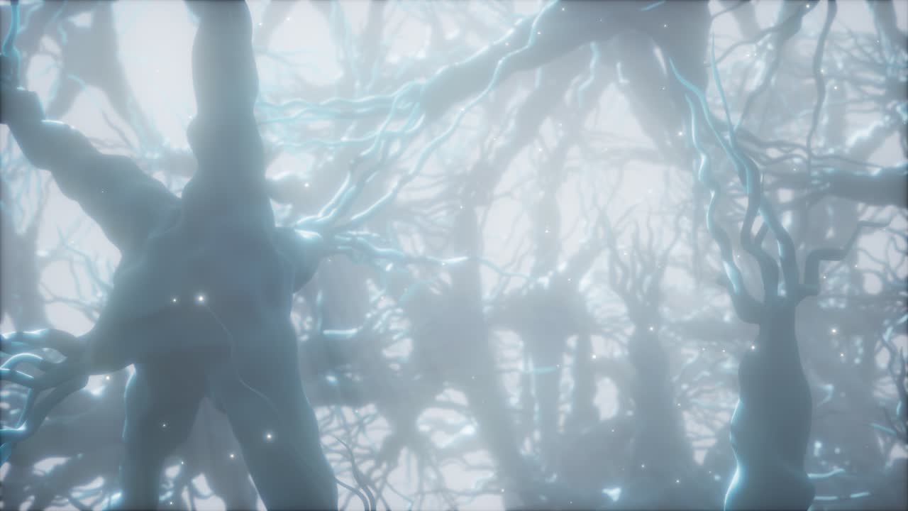 뇌 안의 신경 세포 네트워크를 통해 여행합니다.