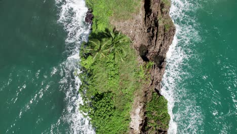 small tropical island rock with palm tree in pacific ocean waves