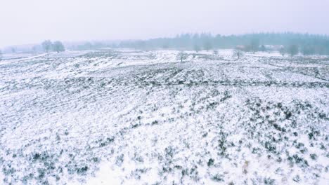 Forward-moving-aerial-over-vast-land-all-covered-with-snow-during-snowstorm