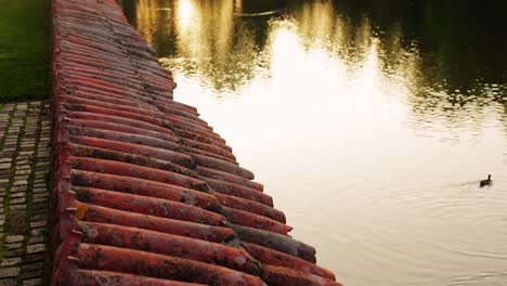 El-Lago-Fuera-Del-Casco-Antiguo-En-El-Parque-Al-Atardecer