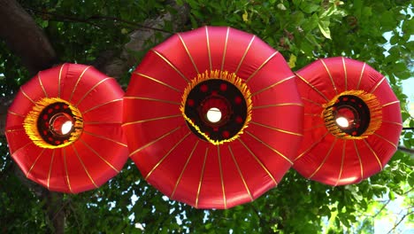 look up red lantern with background green