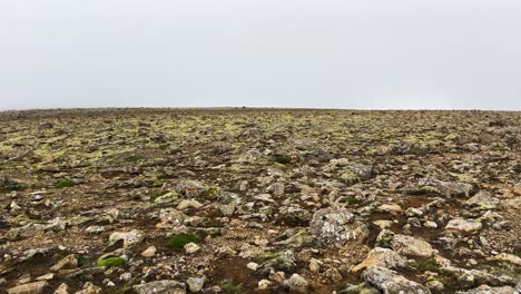 sparse icelandic tundra landscape with overcast skies and rocky terrain, vast open space