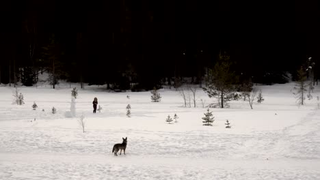 girl and dog playing in the snow in winter